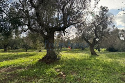 Landejendom i Carovigno, Brindisi, Carovigno - € 54.000 | Ref: 122834 - foto 14